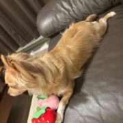 ヒメ日記 2025/10/17 23:42 投稿 ねむ マリン千姫