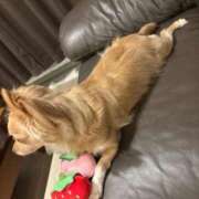 ヒメ日記 2025/10/21 21:18 投稿 ねむ マリン千姫