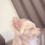 ヒメ日記 2025/10/22 21:39 投稿 ねむ マリン千姫