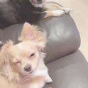 ヒメ日記 2025/10/23 16:31 投稿 ねむ マリン千姫