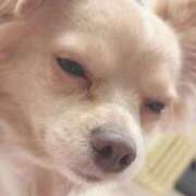 ヒメ日記 2025/10/30 18:47 投稿 ねむ マリン千姫