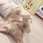 ヒメ日記 2025/10/31 21:21 投稿 ねむ マリン千姫