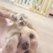 ヒメ日記 2025/11/02 12:32 投稿 ねむ マリン千姫