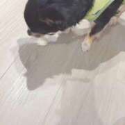 ヒメ日記 2025/11/07 00:02 投稿 ねむ マリン千姫