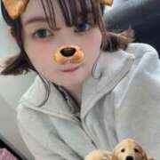 ヒメ日記 2025/11/07 13:03 投稿 ねむ マリン千姫