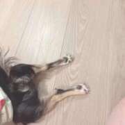 ヒメ日記 2025/11/07 14:22 投稿 ねむ マリン千姫