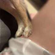 ヒメ日記 2025/11/09 01:11 投稿 ねむ マリン千姫