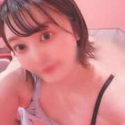 ヒメ日記 2025/11/12 14:24 投稿 ねむ マリン千姫