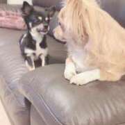 ヒメ日記 2025/11/14 01:02 投稿 ねむ マリン千姫