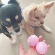 ヒメ日記 2025/11/14 14:12 投稿 ねむ マリン千姫