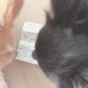 ヒメ日記 2025/11/14 14:18 投稿 ねむ マリン千姫