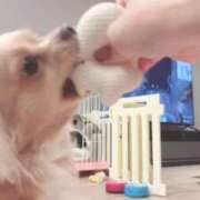 ヒメ日記 2025/11/17 01:02 投稿 ねむ マリン千姫