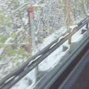 ヒメ日記 2025/11/19 10:52 投稿 ねむ マリン千姫