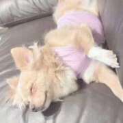 ヒメ日記 2025/11/21 18:25 投稿 ねむ マリン千姫