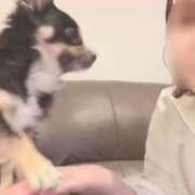 ヒメ日記 2025/11/24 23:19 投稿 ねむ マリン千姫