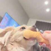 ヒメ日記 2025/11/26 01:12 投稿 ねむ マリン千姫