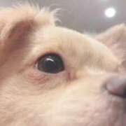 ヒメ日記 2025/11/26 22:29 投稿 ねむ マリン千姫