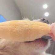 ヒメ日記 2025/11/27 17:12 投稿 ねむ マリン千姫