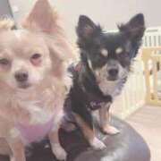 ヒメ日記 2025/12/01 00:25 投稿 ねむ マリン千姫