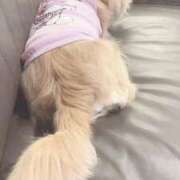 ヒメ日記 2025/12/01 19:43 投稿 ねむ マリン千姫