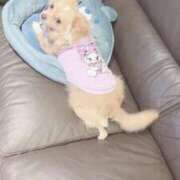 ヒメ日記 2025/12/02 15:40 投稿 ねむ マリン千姫