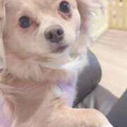 ヒメ日記 2025/12/03 19:48 投稿 ねむ マリン千姫