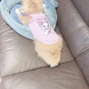 ヒメ日記 2025/12/15 11:52 投稿 ねむ マリン千姫