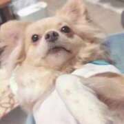 ヒメ日記 2026/01/01 00:15 投稿 ねむ マリン千姫