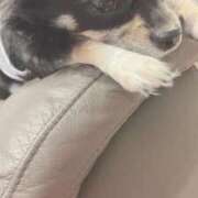 ヒメ日記 2026/01/13 12:57 投稿 ねむ マリン千姫