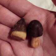 むぎ どっち派？ 奥様特急長岡店