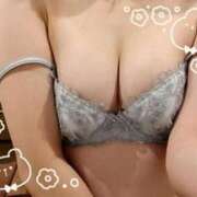 ヒメ日記 2024/12/31 07:30 投稿 サラ ルパン