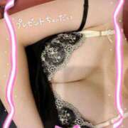 ヒメ日記 2025/03/12 10:00 投稿 サラ ルパン