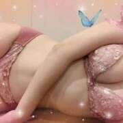 ヒメ日記 2025/07/17 08:30 投稿 サラ ルパン