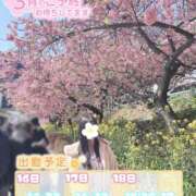 ヒメ日記 2025/03/14 02:01 投稿 ユリカ マテリアル