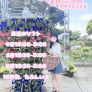 ヒメ日記 2025/07/03 17:31 投稿 ユリカ マテリアル