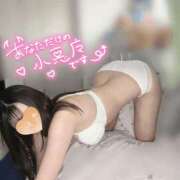 ヒメ日記 2025/07/23 14:01 投稿 ユリカ マテリアル