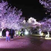 ヒメ日記 2026/04/01 06:33 投稿 体験せりな ACCENT[アクセントグループ]