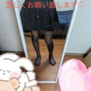 ヒメ日記 2026/04/03 09:43 投稿 体験せりな ACCENT[アクセントグループ]