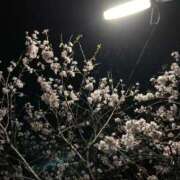 ヒメ日記 2026/04/06 18:25 投稿 りえ 宮崎SANSAIN