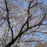 ヒメ日記 2025/04/04 10:33 投稿 さら きゃんでぃドロップス