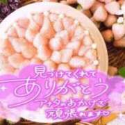 ヒメ日記 2025/08/07 16:51 投稿 るか 快楽玉乱堂