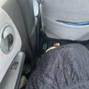 ヒメ日記 2025/05/13 12:00 投稿 桜井　ゆり 一夜妻