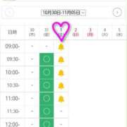 ヒメ日記 2025/10/30 12:54 投稿 ちひろ 電車でGOAL！