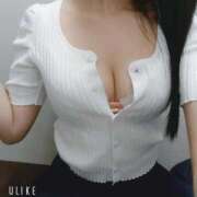 ヒメ日記 2026/01/28 10:24 投稿 ちひろ 電車でGOAL！