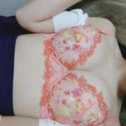 ヒメ日記 2026/01/30 11:54 投稿 ちひろ 電車でGOAL！