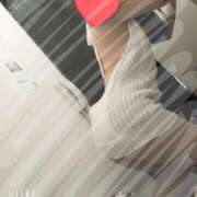 ヒメ日記 2026/04/21 07:34 投稿 ちひろ 電車でGOAL！