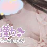 ヒメ日記 2024/06/20 10:03 投稿 ゆの マツタケヒロシ