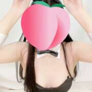 ヒメ日記 2025/03/12 13:28 投稿 ゆの マツタケヒロシ