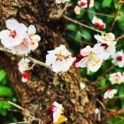 ヒメ日記 2025/03/04 18:45 投稿 みゆ シークレットタッチ