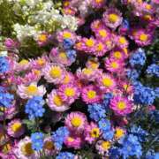 ヒメ日記 2025/04/21 20:01 投稿 みゆ シークレットタッチ